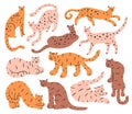 Tigers and leopards. Modern doodle animals. Hand drawn wildlife predators. Wild cats different poses and silhouettes