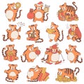 Tigers set with Chinese new year symbols. Cute different tigris holds money and gift boxes, eat noodles and lets off