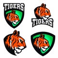 Tigers. Sport team or club logo template.