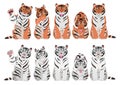 Tigers in various poses in a row set