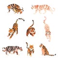 Tigers in various poses set. Big wild cat animals vector illustration Royalty Free Stock Photo