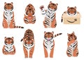 Tigers in various poses on white