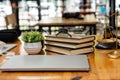 Tigerskin scales and laptop with flower sledgehammer on the table. The concept of a lawyer adjudicating an injustice Royalty Free Stock Photo