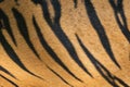 Tigerskin texture