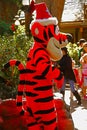 Tigger, a main character from Winnie-the-Pooh