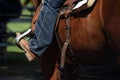 Close-up of Booted Foot in a Stirrup