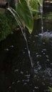 Tight close-up of clear water flowing from pipe of water feature in the Vergelegen Wine Estate gardens.