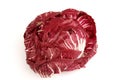 Tight head of radicchio Royalty Free Stock Photo