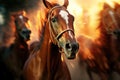 tight shot of racehorses nostrils flaring while running