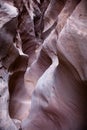 Tight Slot Canyon in Little Wildhorse Canyon