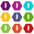 Tight spike icon set color hexahedron