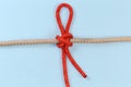 Tightened rope Slipped constrictor knot on a blue background