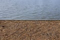 Tightly compacted and dense stick debris detritus pattern background deposited on a dock next to the water