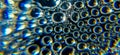 Macro Photo of Condensation Droplets on Glass Surface Royalty Free Stock Photo