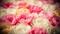 Close-up textured background of numerous small pink white and yellow artificial flowers creating a dense floral pattern with soft Royalty Free Stock Photo
