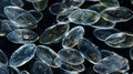 A of tightly packed nematode eggs each no bigger than a grain of sand sit against a dark background their delicate Royalty Free Stock Photo