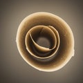 A tightly rolled sheet of paper viewed from the end, creating a spiral pattern. The Royalty Free Stock Photo