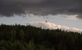 A tightrope walker walks along the highline above the forest