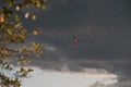 A tightrope walker walks along the highline. Dramatic cloudy sky in background. Extreme sports theme