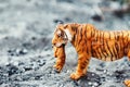Tigress with cub in teeth. Tiger toy figurine in situation. Royalty Free Stock Photo