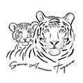 Tigress with cub. Tigers family for your design. Save the Tigers. Royalty Free Stock Photo