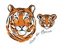 Tigress with cub. Tigers family for your design. Save the Tigers. Royalty Free Stock Photo