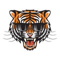 Tigress in sun glasses