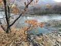 Tigrovaya River in autumn in the evening. Russia, Primorsky Krai, Partizansky district