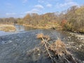 Tigrovaya River in autumn. Russia, Primorsky Krai, Partizansky district