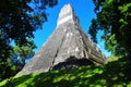 Tikal Ancient Maya Temple, Guatemala