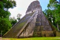 Tikal Ancient Maya Temple, Guatemala