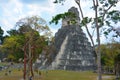 The archaeological site of the pre-Columbian Maya civilization in Tikal Royalty Free Stock Photo