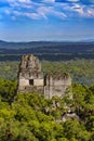 Tikal Archeological Site, Guatemala Royalty Free Stock Photo