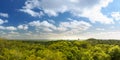 Tikal Guatemala Panorama Royalty Free Stock Photo