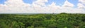 Tikal rainforest, Guatemala