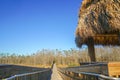 tiki hut and chairs in swamp Royalty Free Stock Photo