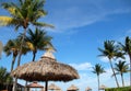 Tiki huts and palm trees Royalty Free Stock Photo