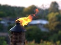 Tiki torch flame Royalty Free Stock Photo
