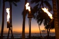 Tiki torch and palm trees silhouette after sunset Royalty Free Stock Photo