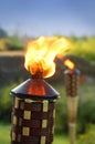 Tiki Torches Royalty Free Stock Photo