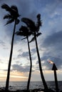 Tiki torches and palm trees in a typical sunset on Maui, Hawaii. Royalty Free Stock Photo