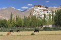 Tiksey Monastery is a Buddhist monastery in Ladakh Royalty Free Stock Photo