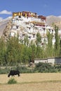 Tiksey Monastery is a Buddhist monastery in Ladakh Royalty Free Stock Photo