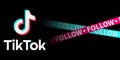 TikTok Follow. New Social media concept. Icon symbol. Logo. Vector illustration. Editorial web Royalty Free Stock Photo