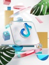 TikTok Icon Geometric Shapes with Glassmorphism Square Glass and Monstera Leaf 3D Render