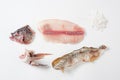 Tilapia components on white background