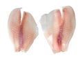 Tilapia fillet fish Royalty Free Stock Photo