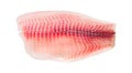 Tilapia fillet Royalty Free Stock Photo