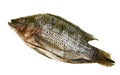 Ready to Cook Tilapia Fish Royalty Free Stock Photo