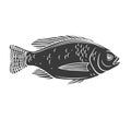 Tilapia fish glyph icon.